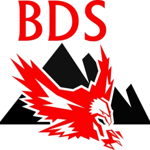 BDS Security Logo